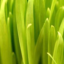 网站ddos隐藏源ip