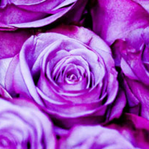 ddos网页在线攻击