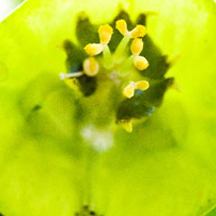 网站ddos隐藏源ip